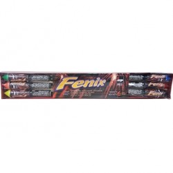 Fenix (Pakuotėje 6 raketos)